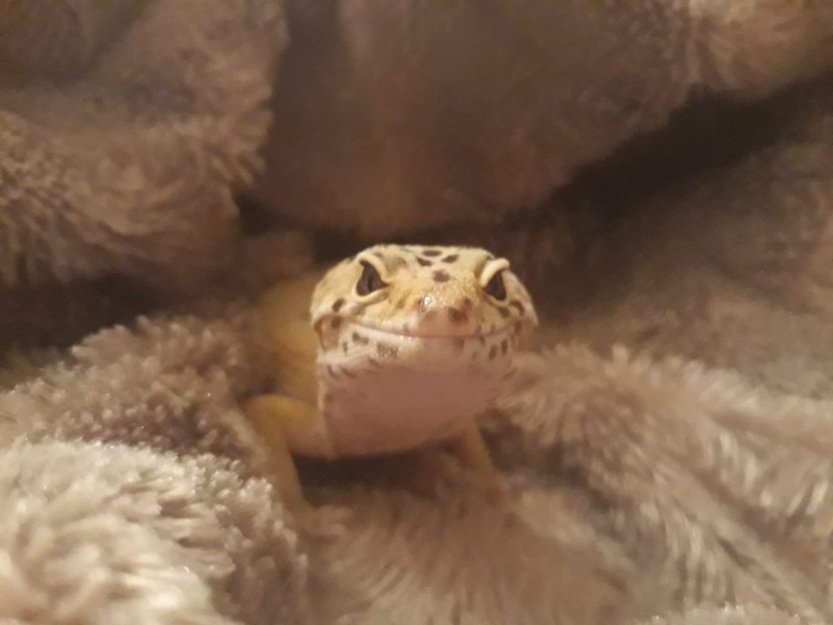 Day 6/7 of my life in pictures. Rules: no words, no people, nominate someone new every day. I was nominated by <a href="/MuttleyGump/">Dr Roni McGowan</a> and I nominate <a href="/BurningYaphet/">Yanfang Wang</a>