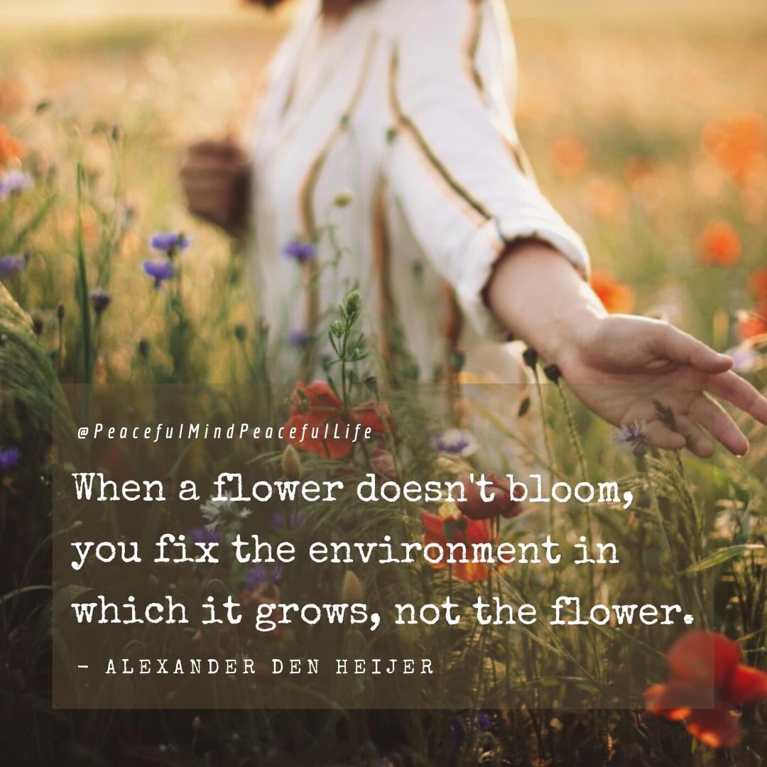 Catherine Sweetman tweet media