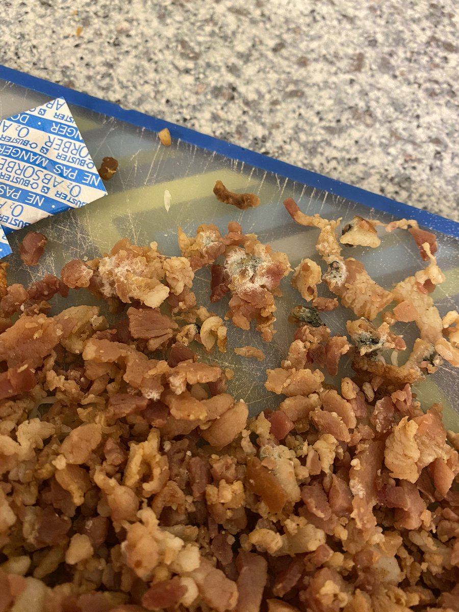 Just bought these bacon bits to make pizza tonight and found a ton of mold in the bag when I dumbed it out. DISGUSTING 🤢. @oscarmayer