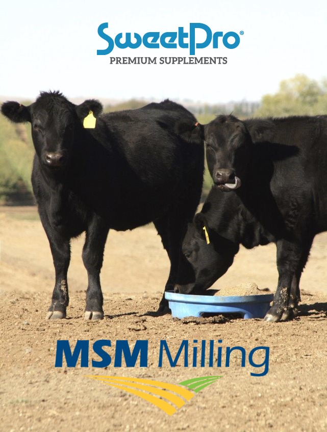 SweetProAus's tweet image. Welcome to @twitter SweetPro Australia!! We are now proudly under the management of the Central Western NSW company @msmstockfeeds. Stay tuned as we keep you updated on our premium product range and overall adventures! #stockfeeds #cattle #equestrian #sheep #lickblocks #ausag