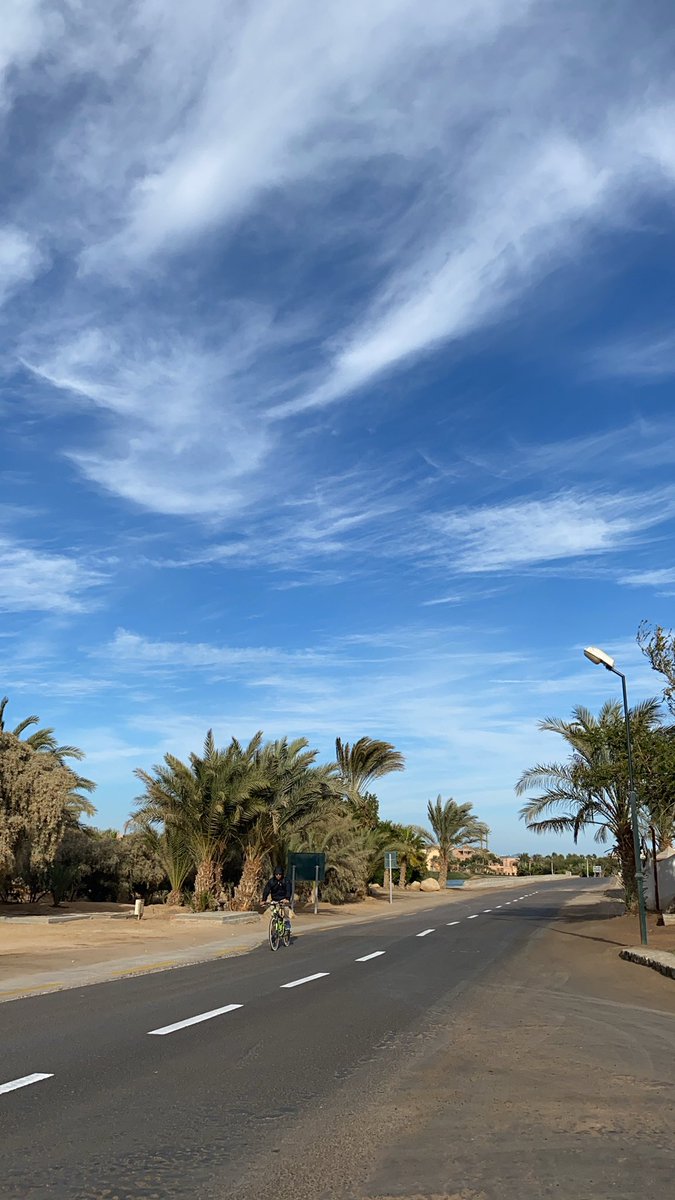 AdhamHalawany_'s tweet photo. Gouna📍 https://t.co/0Zh6G7Pwrf