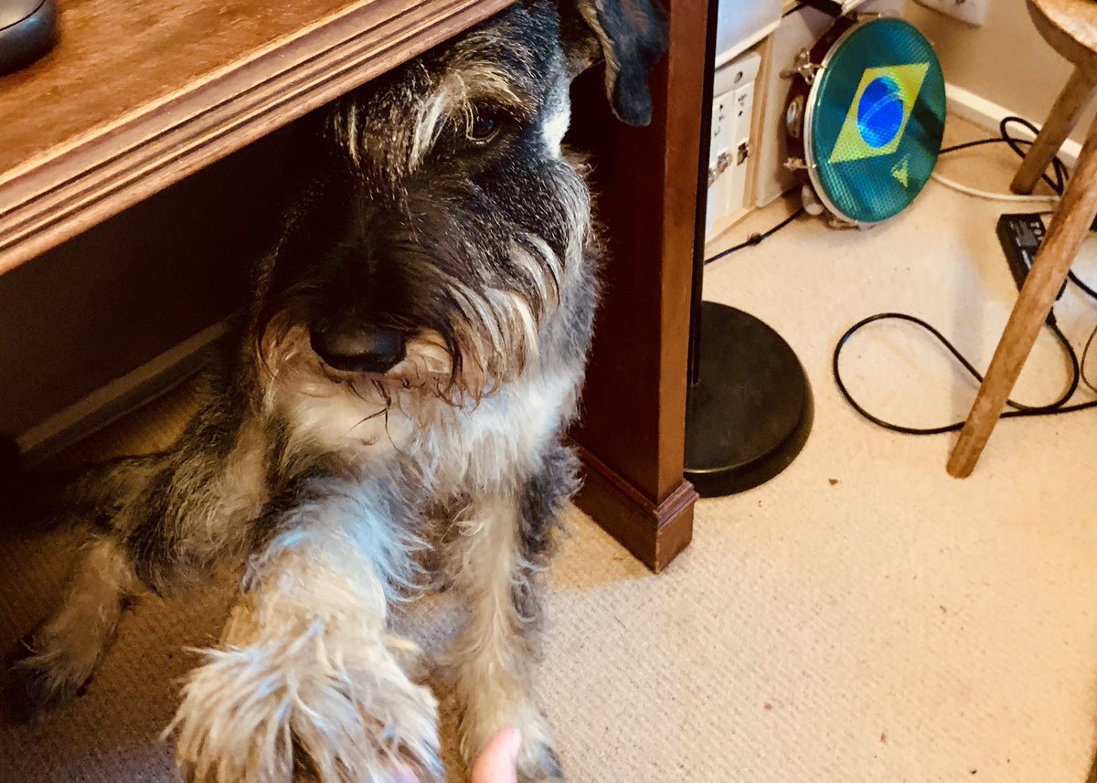 Feli Hopf (@felihopf) on Twitter photo Day 2/7 of quarantine life in photos. No words, no people. I was nominated by <a href="/palaeolim/">William Gosling</a> and I nominate <a href="/phishytales/">Dr Kelsie E Long</a> 😄 Day 2/7 of quarantine life in photos. No words, no people. I was nominated by <a href="/palaeolim/">William Gosling</a> and I nominate <a href="/phishytales/">Dr Kelsie E Long</a> 😄