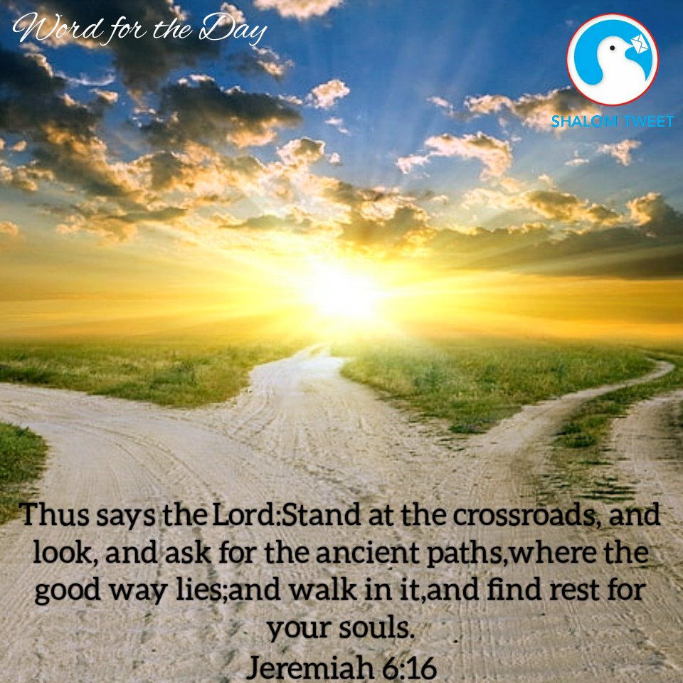 shalomwebm's tweet photo. Word for the Day #Catholic #CatholicChurch #CatholicTwitter #Kerala #PopeFrancis #keralachurch #PRIEST #nun #COVID19 #Europe #Asia #America #Australia #Africa #newyorklockdown #italystaystrong #SpainLockDown #family #holy #JesusChrist #hope #faith #Corona #Bible #London #India https://t.co/AZguezunKP