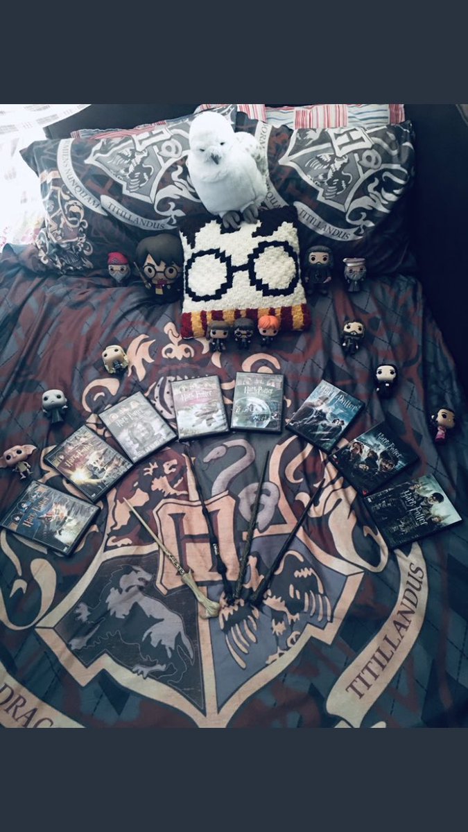 She made a fort of blankets and sheets in our TV room to see a marathon of more than 20 hours of all the movies, also a day before, she was all day cooking a cake of (you guessed it) harry potter. Your books have changed her life and find moments of pure happiness in them.