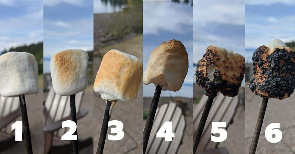 _music_luvr's tweet photo. Which are you?
Hmmmm...me...a 5 or 6😋 https://t.co/Fa2xVgyBYO