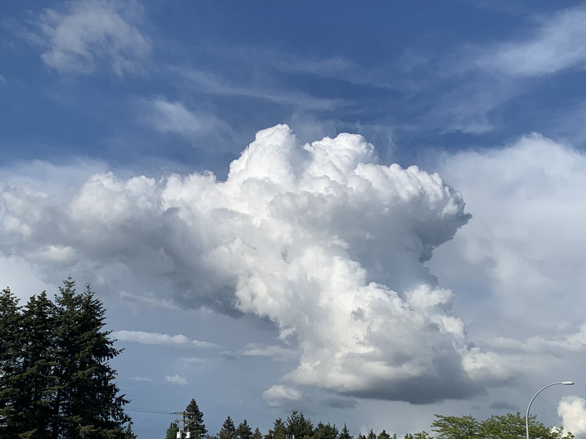 GoblinBugGirl's tweet photo. Going up!  :)

#clouds #bcweather #yvrweather #bcstorm #yvrstorm https://t.co/oCLV8rOQK4