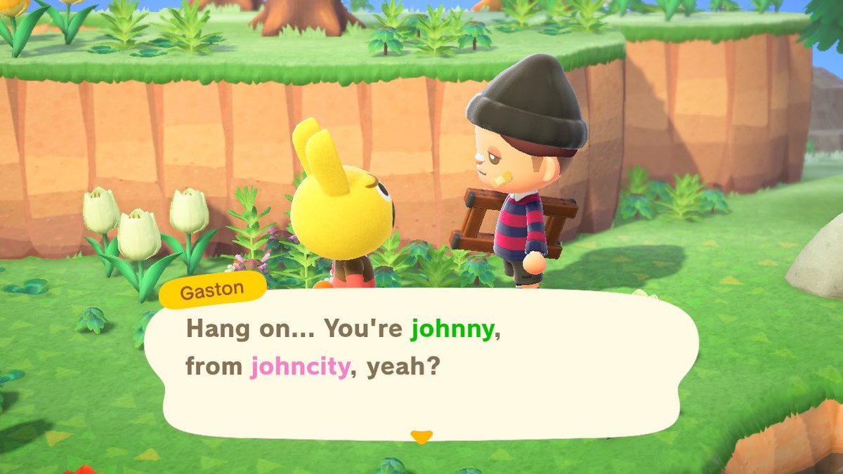 johnnycrossing's tweet photo. johnny enjoys meeting new animals!! :] https://t.co/D7Ae6eO96f