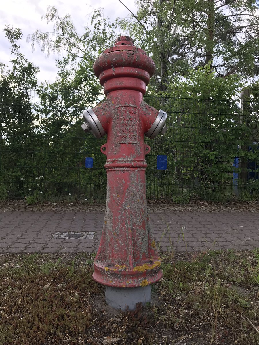 #PhotosOfMyLife 3/7: Schutz mit Patina. <a href="/TobiasBringmann/">Tobias Bringmann 🇪🇺🌈🏳️‍⚧️</a>