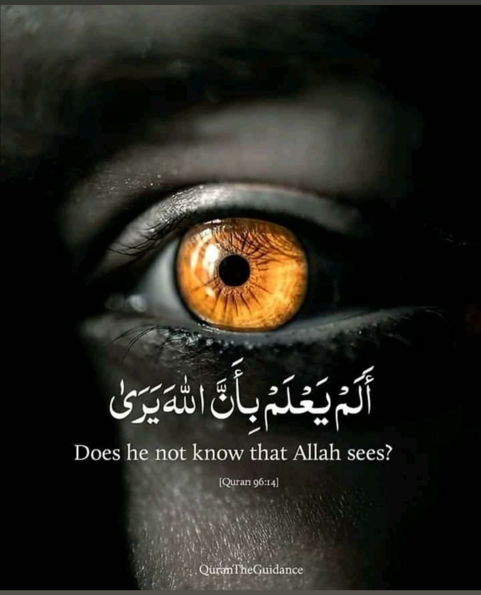 Syed96101091's tweet photo. @evil_aoul https://t.co/VXO7DgksW7
