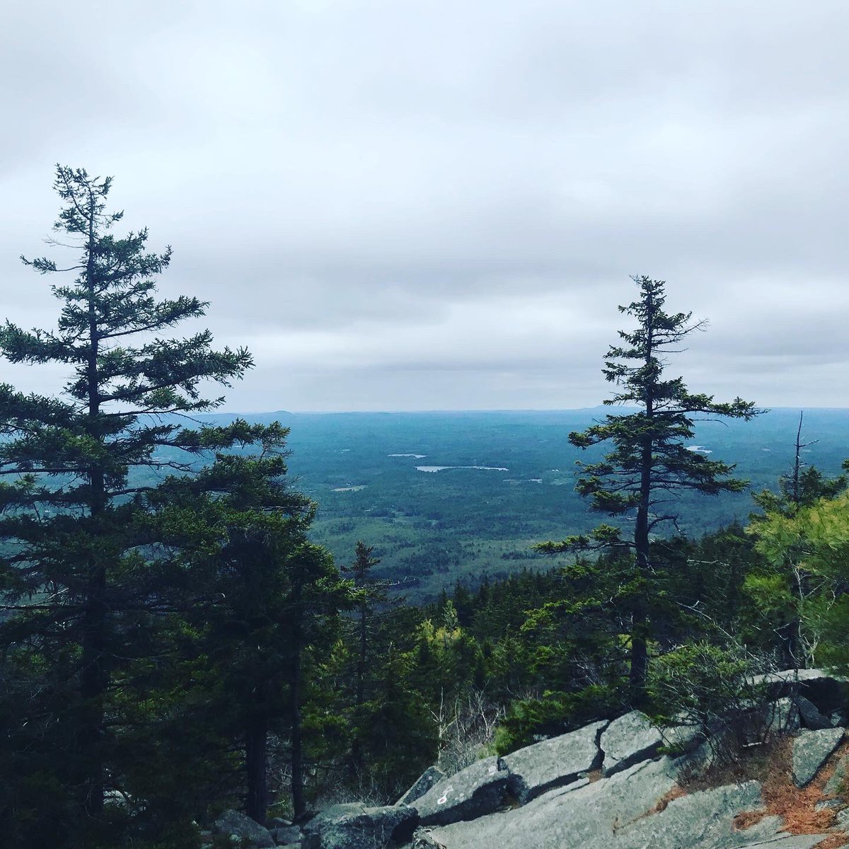 OTemily3's tweet photo. #HikingSafely #FavoriteOccupation #occupationalengagement #balance #nature #woods https://t.co/wNDNYePrrO