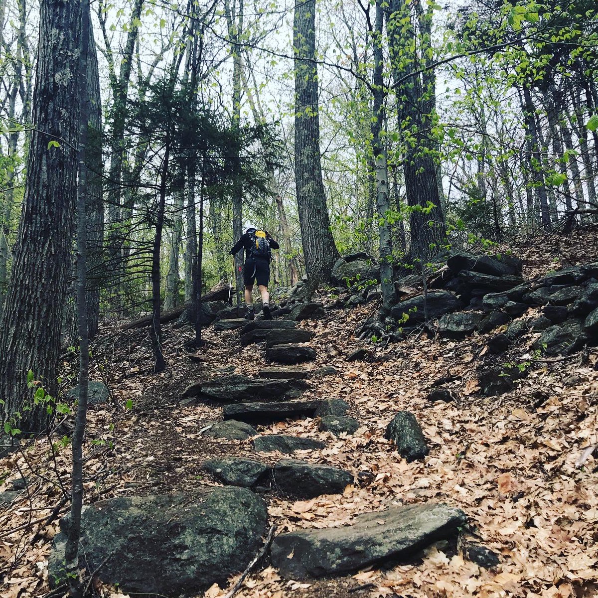 OTemily3's tweet photo. #HikingSafely #FavoriteOccupation #occupationalengagement #balance #nature #woods https://t.co/wNDNYePrrO