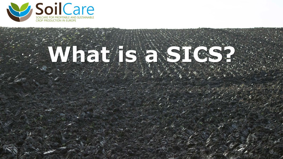 What is a SICS?
(Hint: it has something to do with #soils) 👇
vimeo.com/419364573

<a href="/diverfarming/">Diverfarming</a> <a href="/SoilsAlliance/">Sustainable Soils Alliance 🌱</a> <a href="/AgroIntelli/">AGROINTELLI</a> <a href="/lultimoalbero/">alberto_orgiazzi</a> <a href="/Soils4EU/">Soils4EU</a>