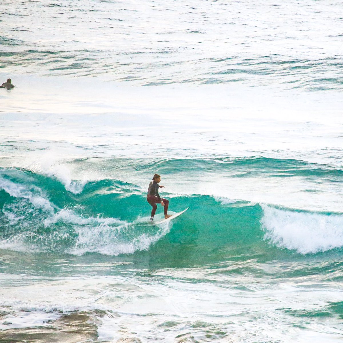 hotndelicious's tweet photo. South Bondi ๐๐ปโโ๏ธโ๏ธ #sunrise #surfsesh https://t.co/eQZxShelva