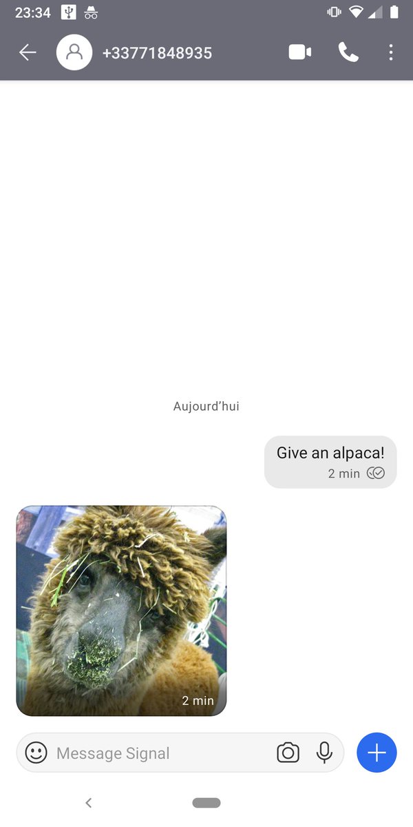 Alpacas are awesome! A <a href="/signalapp/">Signal</a> bot powered by alpacas.cloud is now available so you can bring those magnificent animals into your conversations. Just ask for an alpaca at this number +33771848935 🎉