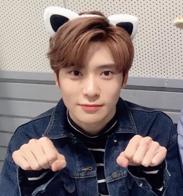 obstacle_127's tweet photo. the time has come again! #CatboySunday #CatboyOfTheWeek #CBOTW  

congrats to jaehyun of nct for being the designated catboy of the week! i think jaehyun should wear cat ears all the time. https://t.co/OC2DXMBnn9