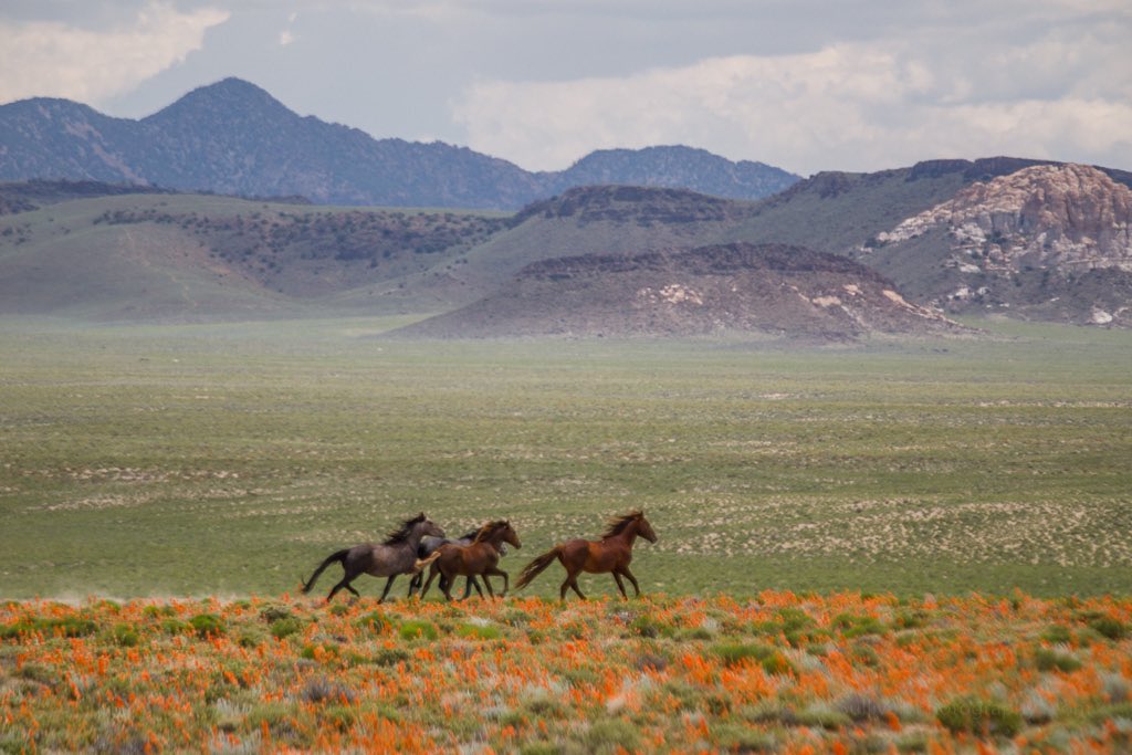 Jeff Sullivan Photo tweet media