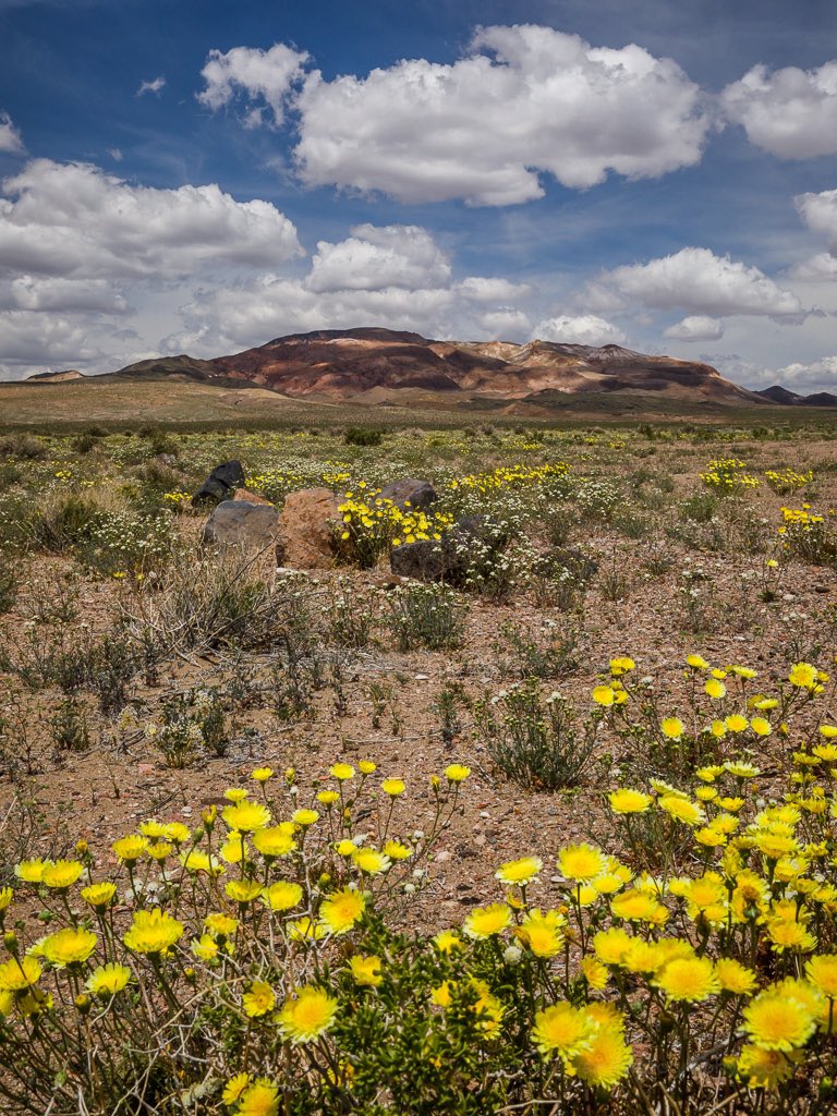 Jeff Sullivan Photo tweet media