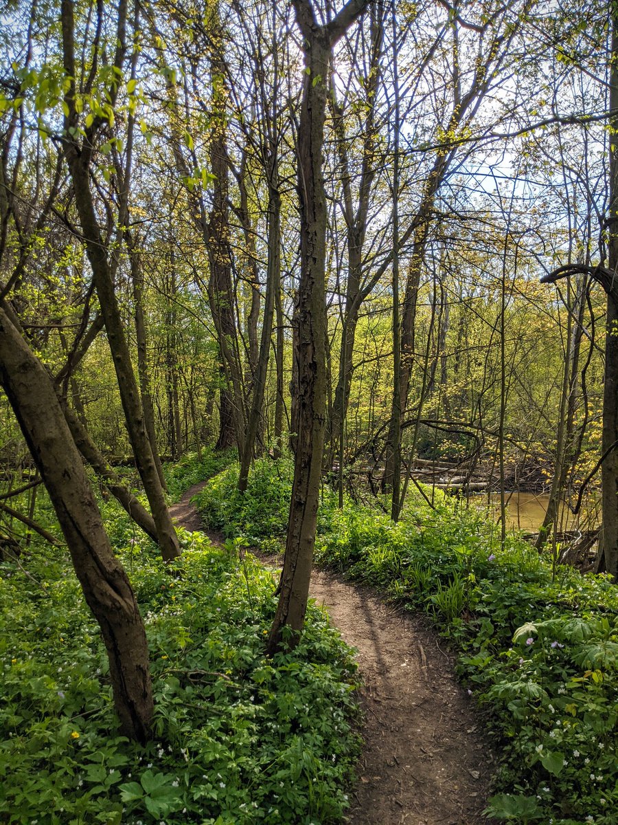 LPMS_aggies's tweet photo. Students were given an assignment to go for a hike this week and connect with nature. They were asked to record the sights and sounds from their hike and were also asked about their mood before and after the hike. The stats speak for themselves... https://t.co/58cMVLqpgf