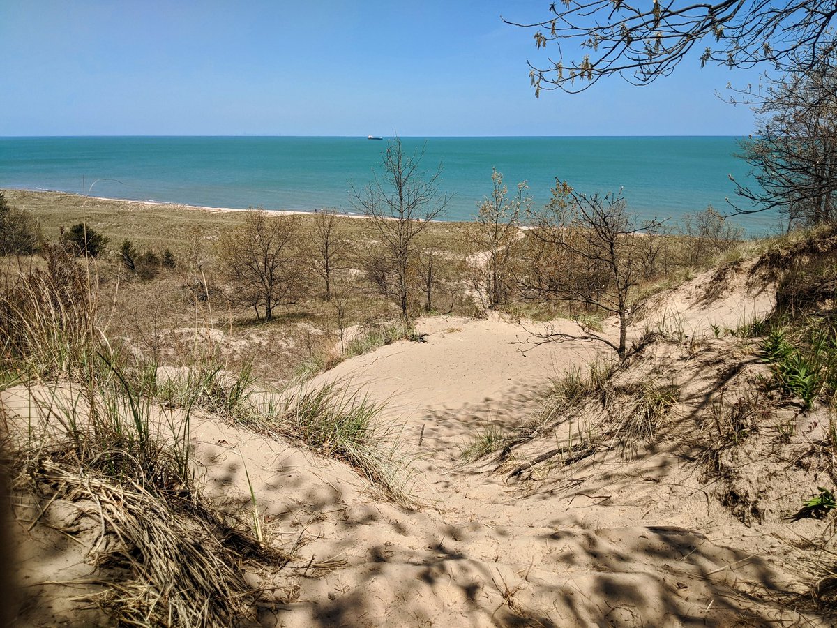 LPMS_aggies's tweet photo. Students were given an assignment to go for a hike this week and connect with nature. They were asked to record the sights and sounds from their hike and were also asked about their mood before and after the hike. The stats speak for themselves... https://t.co/58cMVLqpgf