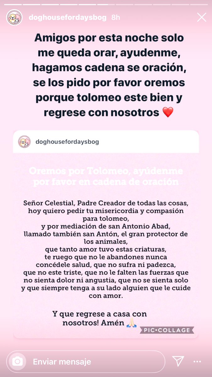 Responde al nombre de Ptolomeo, robaron a sus dueños cerca al <a href="/MovistarArenaCo/">Movistar Arena Colombia</a> con pistola en mano, les quitaron sus pertenencias y se llevaron al perrito, esta enfermo y requiere de cuidados especiales, porfavor difundir <a href="/AleGiraldoP/">Alejandra Giraldo</a> <a href="/darcyquinnr/">Darcy Quinn</a> <a href="/juliherrerap/">Rosa Juliana Herrera Pinto🐾👣</a> <a href="/MarkLeeOficial/">Mark Lee</a>