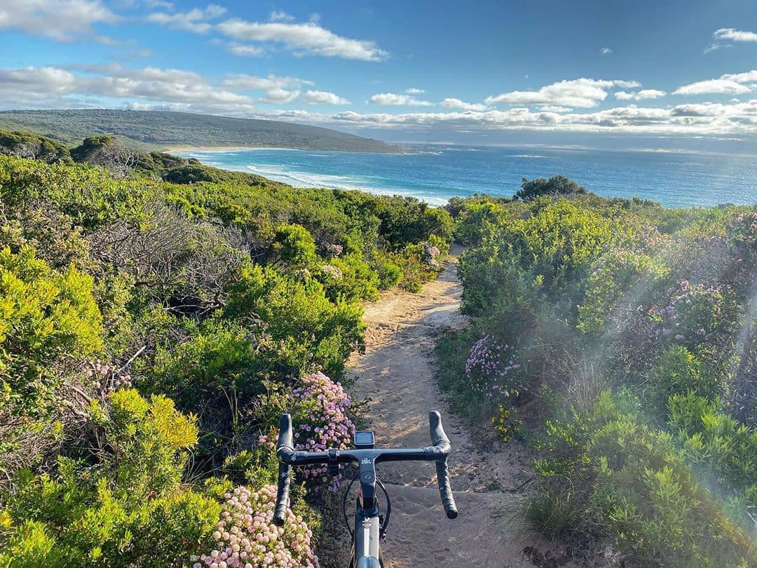 travelvgears's tweet photo. When the bike lane is growing over with spring wildflowers! ๐ด
.
๐ Yallingup, Western Australia, Australia
.
.
.
#TVG #travelventuregears #travelfromhome #travelathome #armchairtravel #virtualtravel #traveldays #themargaretriverregion #rideWA #lifebehindbars #yallingup #stayhome https://t.co/1lT2aVzB5V