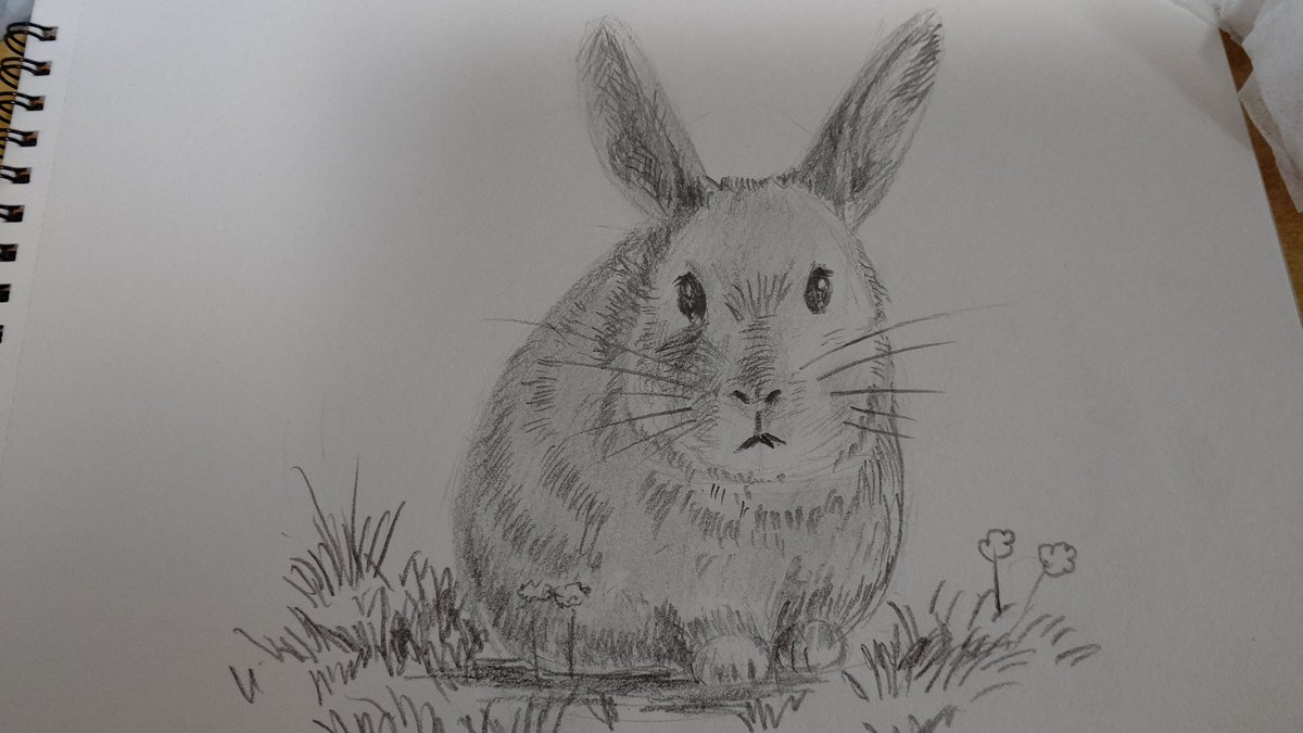 うさぎの描き方 うさぎの描き方
