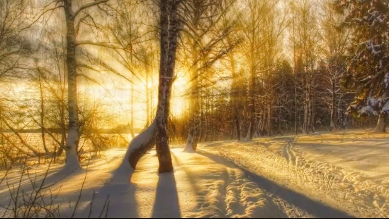 forestlover002's tweet photo. Another dreamfull day💖💖

#nature #sunsets #beautiful #Forests https://t.co/5agccXqbuR