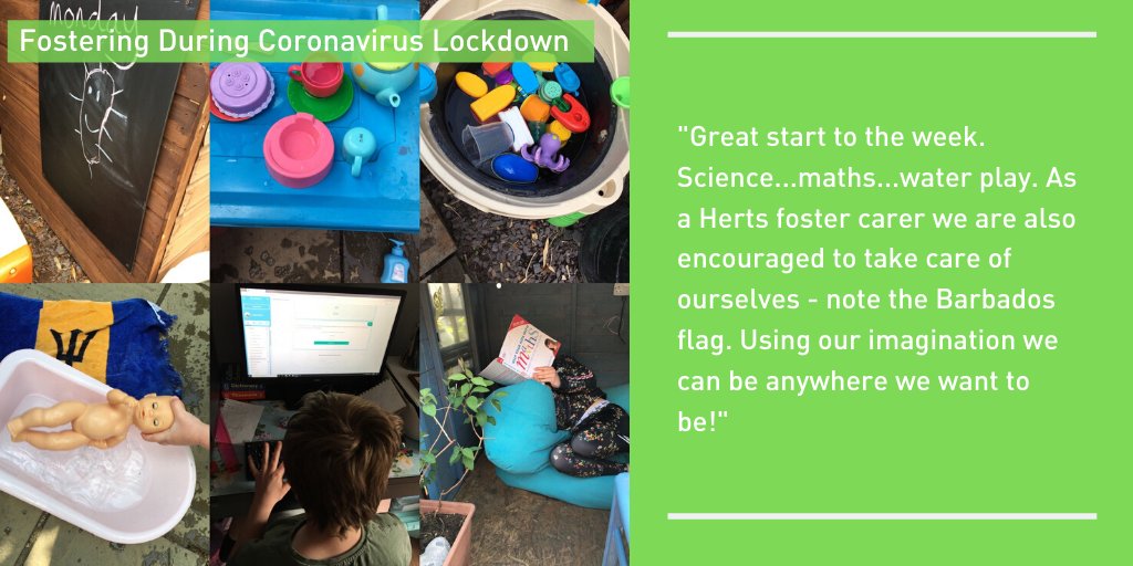 Life is a Wiggly Path 💙 🦩 on Twitter: 