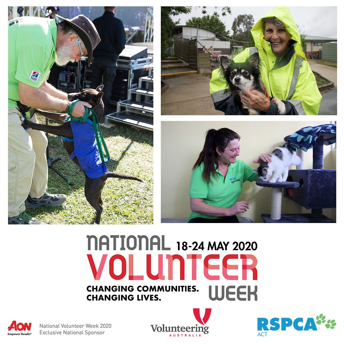 rspcaact tweet picture