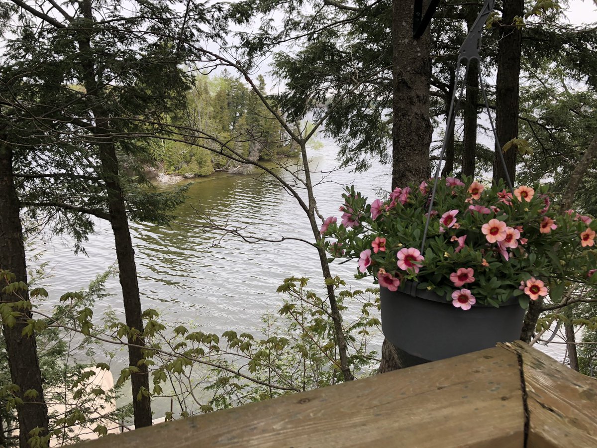 wendythreader's tweet image. #mylifeinpictures day 5/7