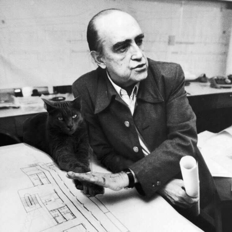 sofiroatta's tweet photo. Hoy edité a las mascotas de mis amigxs con arquitectxs porque estaba aburrida https://t.co/TkLvXzLSOn