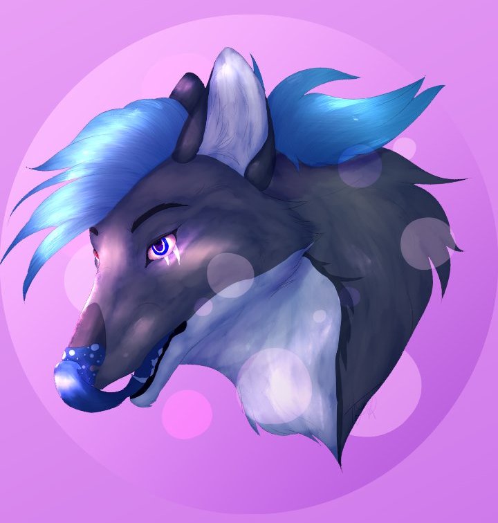 Drawing Fursona Drawing Furry Art - Germowp