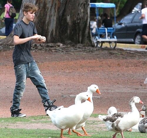 12. Justin bieber persiguiendo patos en una plaza de palermo