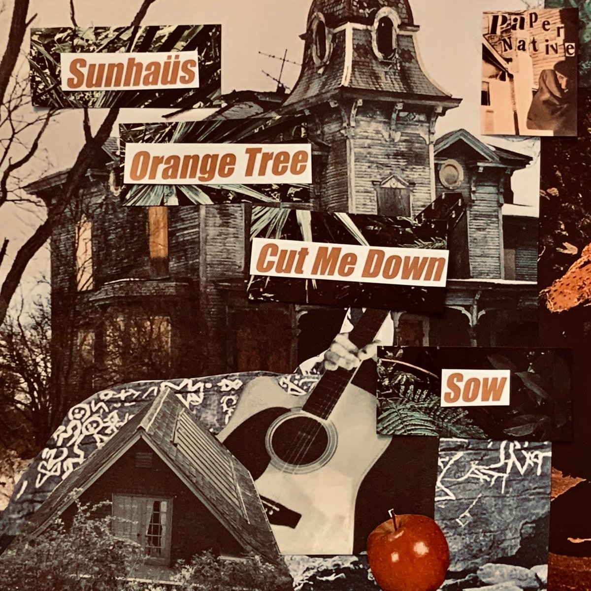 Paper Native tweet media