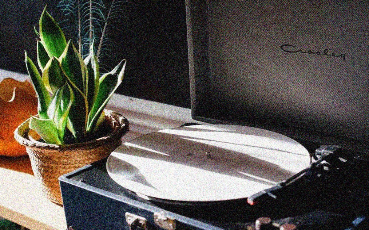 acid stag tweet media