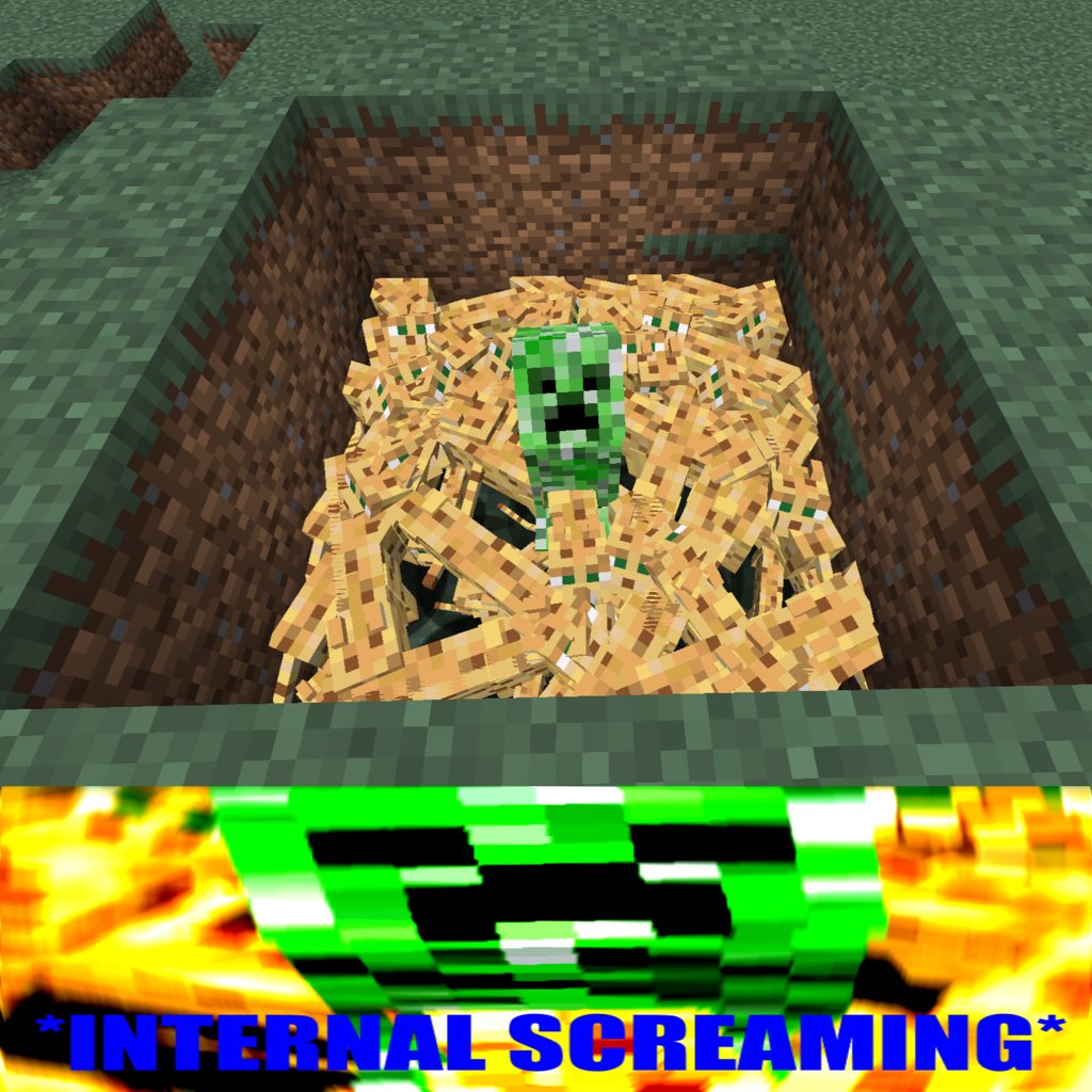 Esperando O Minecraft Ter Circulos - Meme