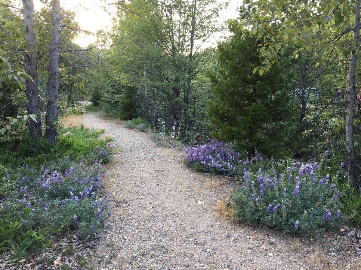 FunDirectors's tweet image. Railroad Park Resort was a gem. We had the whole place to ourselves, read about it here... 

sierrateardrops.com/article/the-se…