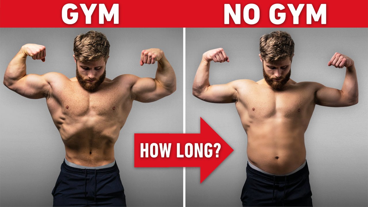 Jeff nippard abs sale