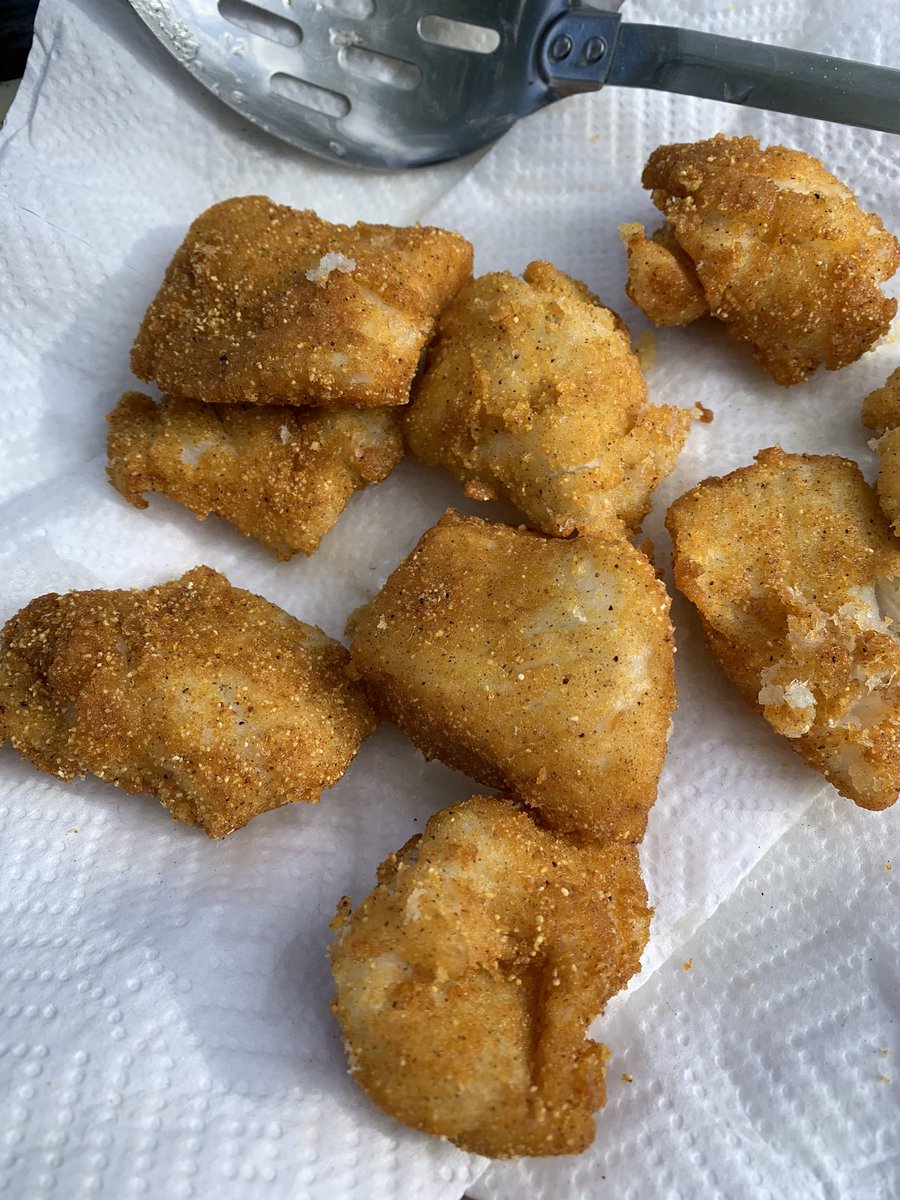 beakthebeast's tweet photo. Gotta love fresh crappie for dinner ! #crappie  #melvernlake https://t.co/72O7mB44J8