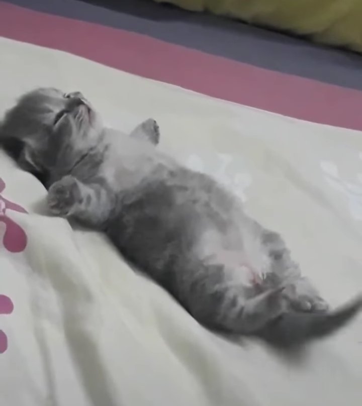 พุงกลมบ๊อก