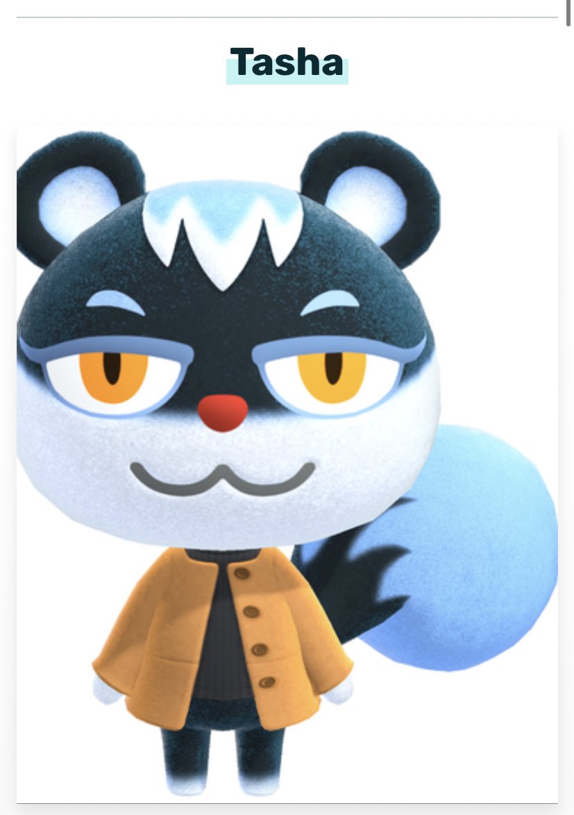 abbyfromkitty's tweet photo. I GOT TASHA WHAT DO I DO??? 😭😭😭😭 DO I TAKE HER? #acnh #animalcrossing #AnimalCrossingNewHorizions #acnhvillagertrade https://t.co/G7eG5YF6Kl