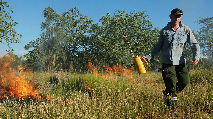 AusRangeSoc's tweet photo. 14 @awconservancy staff self #isolated #Kimberley so early season #RightWayFire protects #nature #Country against late season #wildfires Excellent article with 3-4 minutes embedded #video explains. #outback #rangelands #biodiversity #indigenous #culture
https://t.co/iybZm8ZKG0 https://t.co/fYlh3iMv31
