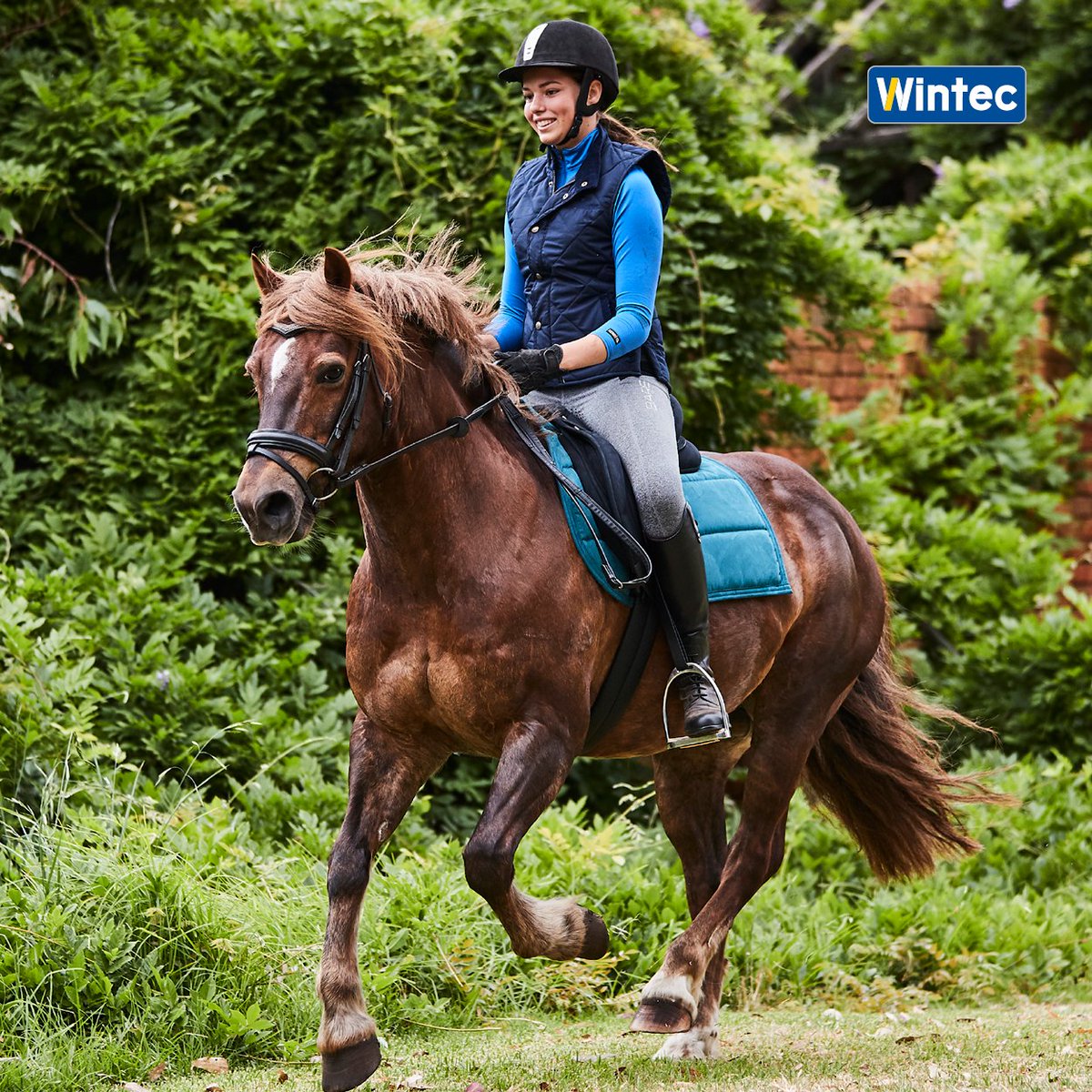 Time to RIDE!

Hit the trails in a balanced and supportive saddle, designed for total horse and rider comfort. View the full range at wintec-saddles.com

 #wintecsaddle #wintecsaddles #noleathernolimits #timetoride
