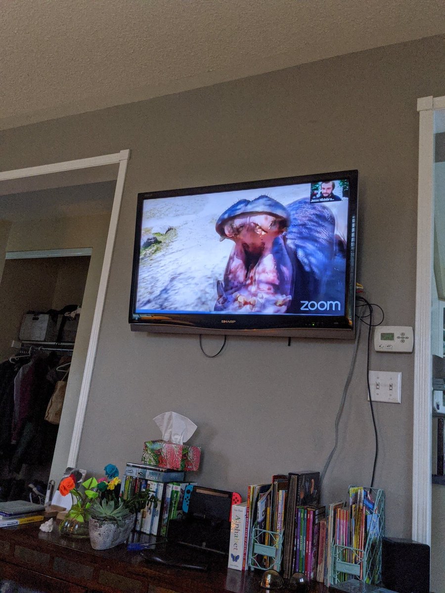 Chris Orr-Van Abbema tweet media