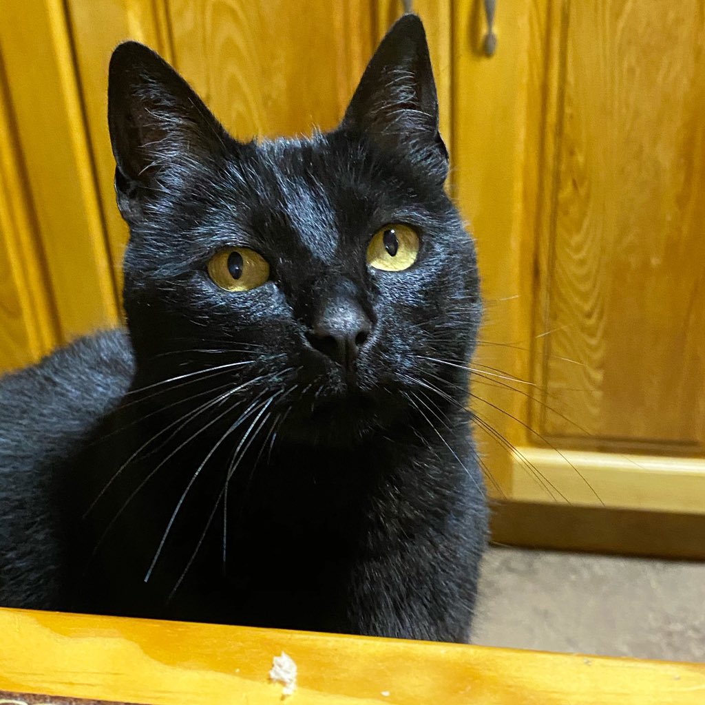 <a href="/Solesin3/">Foxey Foxy 🦊 💚🌳</a> <a href="/JulioJung_actor/">Julio Jung</a> Te presento “Al bebé” (así le llamamos acá”