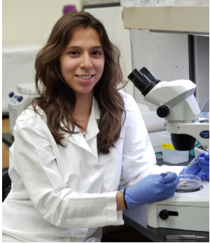 UNLVBrainHealth's tweet photo. Congratulations to Karen Castillo Alcazar and Esperanza Mireles for being recipients of the AANAPISI and LSAMP SSRE program, a scholarship program allowing students to assist with a research project! 🎉
#unlvbrainhealth #CaMBRLab https://t.co/4luBin8dz1 https://t.co/OXpJLQD8pS