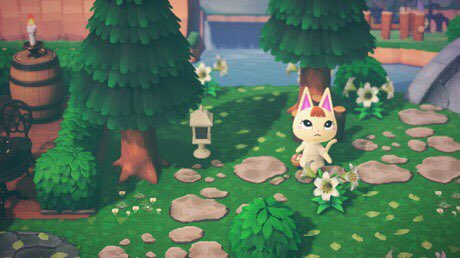 stralyrep's tweet photo. Island Life on Straly🍃🌻 https://t.co/JRAElRzE2V