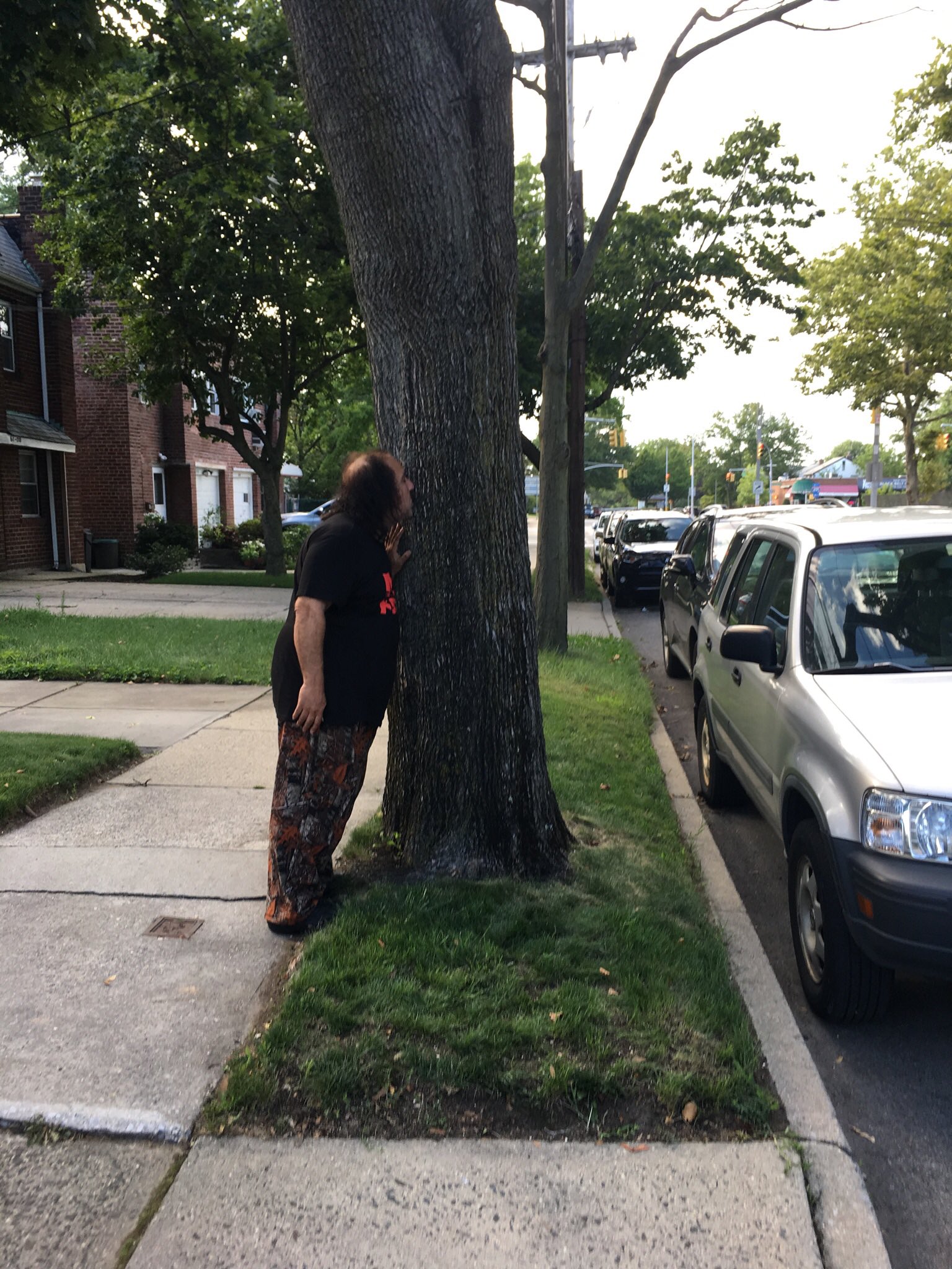 2 pic. I’m not sure, but if they have to tear down my tree they may do it tomorrow. Is there anyone that knows about seedlings or trimmings that could help me save and replant this tree? 61-24 bell Blvd Bayside Queens NY 11364 please help me save my tree @NYCMayor @NYCParks https://t.co/ugPqZRVNyO