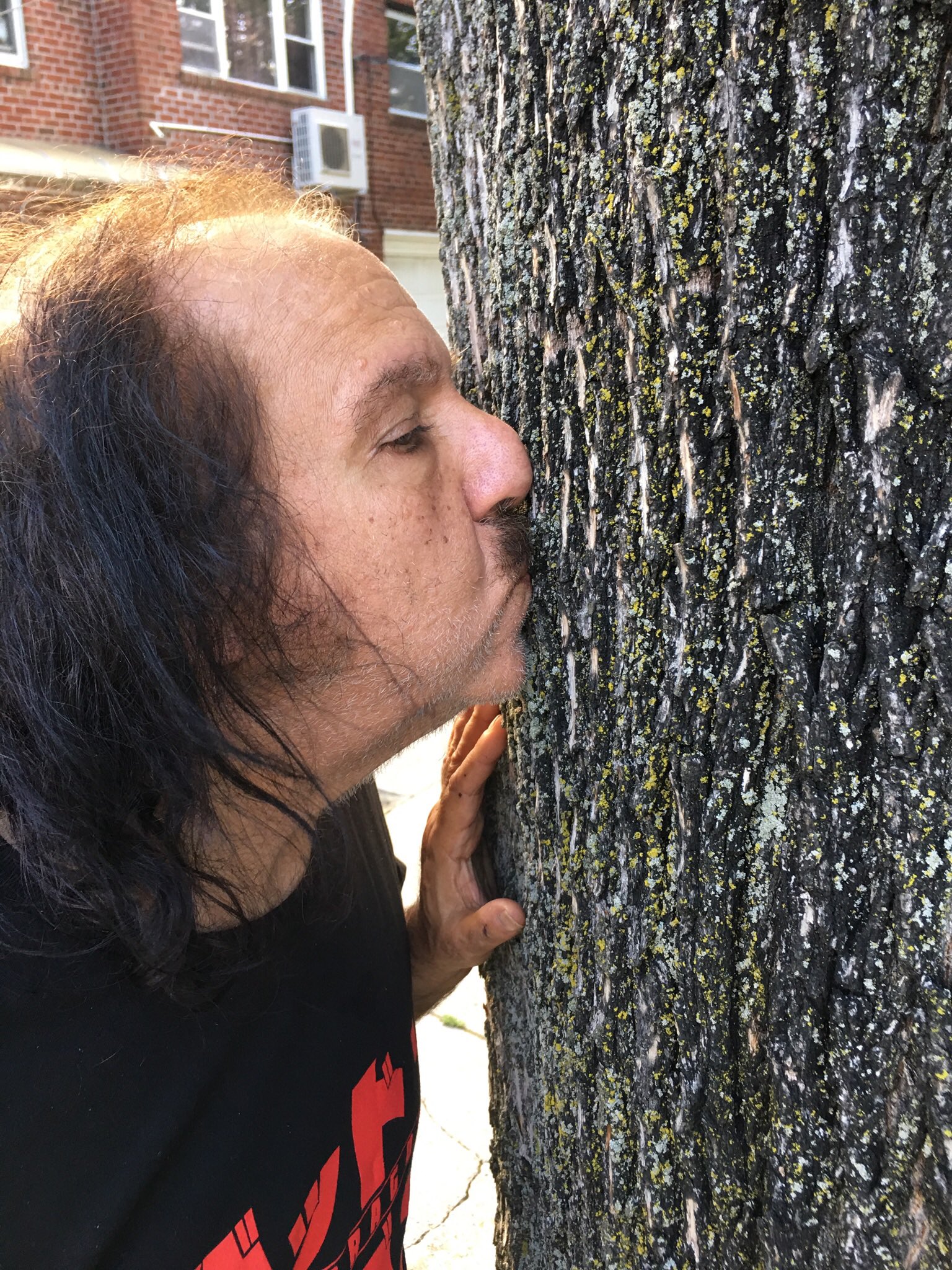 1 pic. I’m not sure, but if they have to tear down my tree they may do it tomorrow. Is there anyone that knows about seedlings or trimmings that could help me save and replant this tree? 61-24 bell Blvd Bayside Queens NY 11364 please help me save my tree @NYCMayor @NYCParks https://t.co/ugPqZRVNyO