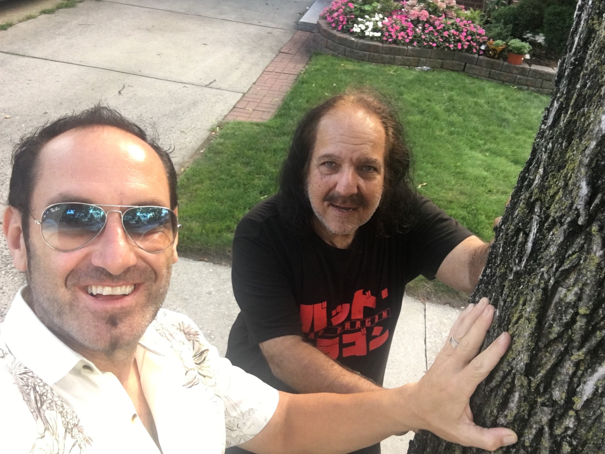 4 pic. I’m not sure, but if they have to tear down my tree they may do it tomorrow. Is there anyone that knows about seedlings or trimmings that could help me save and replant this tree? 61-24 bell Blvd Bayside Queens NY 11364 please help me save my tree @NYCMayor @NYCParks https://t.co/ugPqZRVNyO